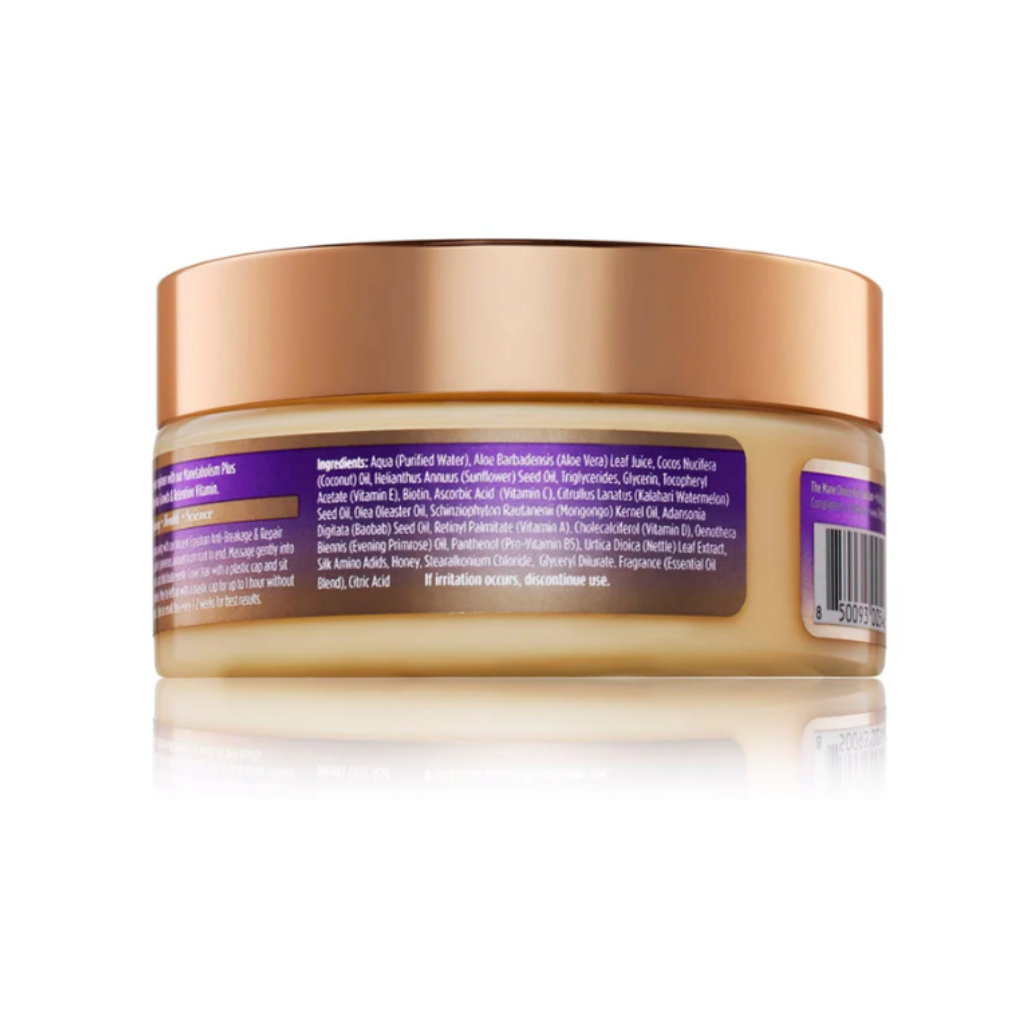 The Mane Choice Ancient Egyptian Anti-Breakage & Repair Antidote Hair Mask 8oz - BRAID BEAUTY