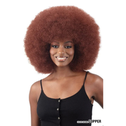 FreeTress Equal Wig AFRO LARGE - BRAID BEAUTY