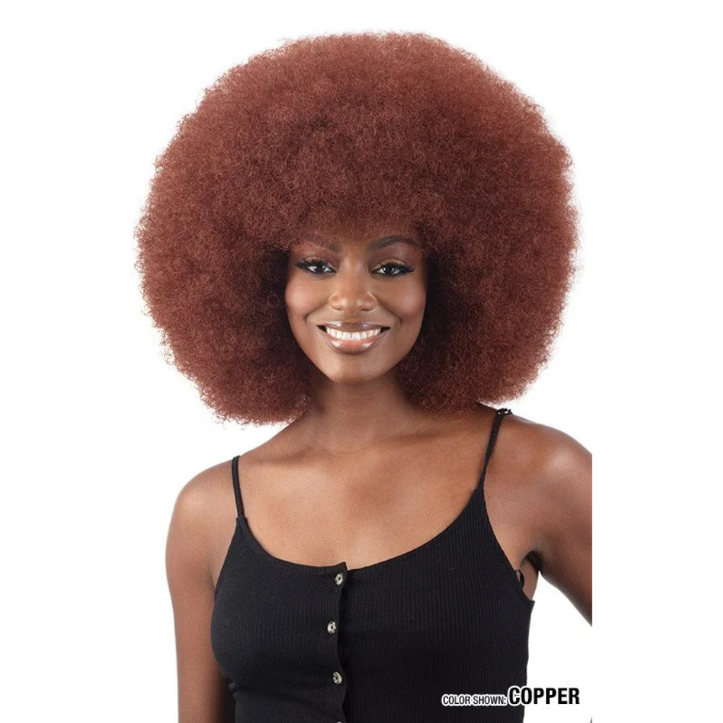 FreeTress Equal Wig AFRO LARGE - BRAID BEAUTY