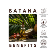 AllDay Locks Batana Hair Growth Oil Hair Rejuvenator Strengthening Oil Hair&Scalp 2oz - BRAID BEAUTY